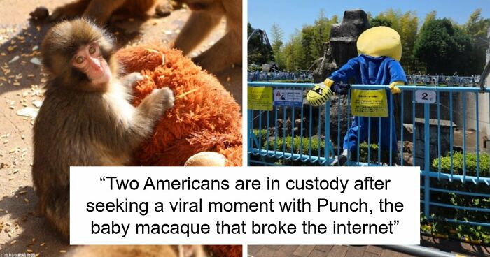 American Tourists Put Behind Bars For Entering Punch The Monkey’s Enclosure Wearing Emoji Costumes
