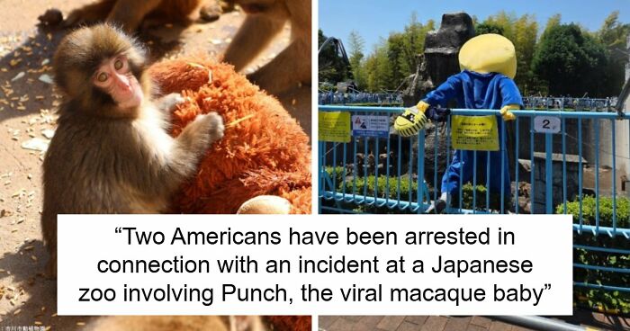 American Tourists Put Behind Bars For Entering Punch The Monkey’s Enclosure Wearing Emoji Costumes