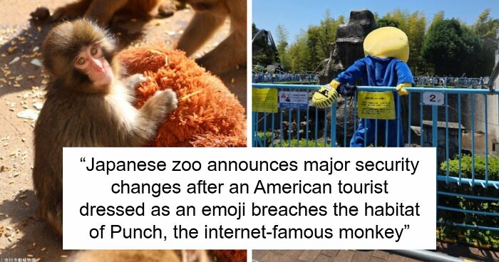 American Tourists Put Behind Bars For Entering Punch The Monkey’s Enclosure Wearing Emoji Costumes