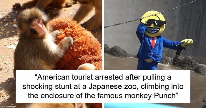 American Tourists Put Behind Bars For Entering Punch The Monkey’s Enclosure Wearing Emoji Costumes