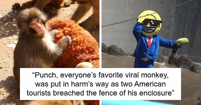 American Tourists Put Behind Bars For Entering Punch The Monkey’s Enclosure Wearing Emoji Costumes