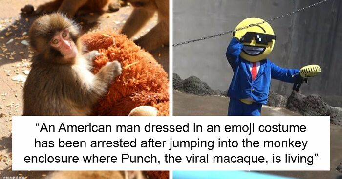 American Tourists Put Behind Bars For Entering Punch The Monkey’s Enclosure Wearing Emoji Costumes