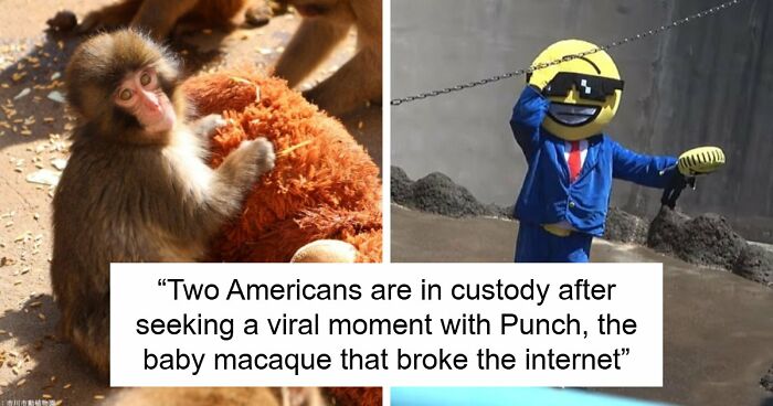 American Tourists Put Behind Bars For Entering Punch The Monkey’s Enclosure Wearing Emoji Costumes