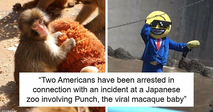 American Tourists Put Behind Bars For Entering Punch The Monkey’s Enclosure Wearing Emoji Costumes