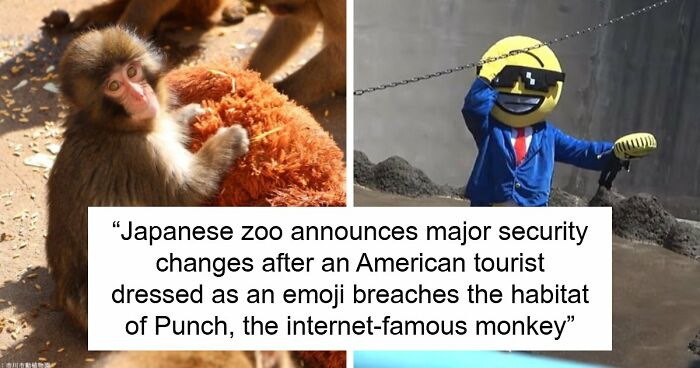 American Tourists Put Behind Bars For Entering Punch The Monkey’s Enclosure Wearing Emoji Costumes