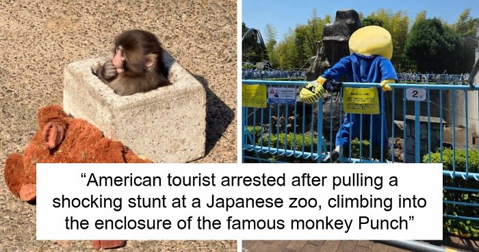 American Tourists Put Behind Bars For Entering Punch The Monkey’s Enclosure Wearing Emoji Costumes