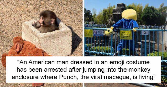 American Tourists Put Behind Bars For Entering Punch The Monkey’s Enclosure Wearing Emoji Costumes