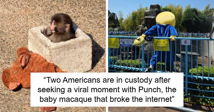 American Tourists Put Behind Bars For Entering Punch The Monkey’s Enclosure Wearing Emoji Costumes