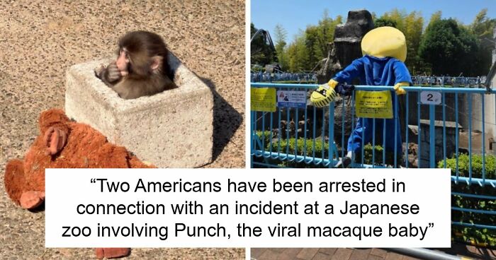 American Tourists Put Behind Bars For Entering Punch The Monkey’s Enclosure Wearing Emoji Costumes