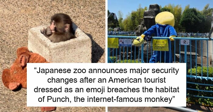 American Tourists Put Behind Bars For Entering Punch The Monkey’s Enclosure Wearing Emoji Costumes