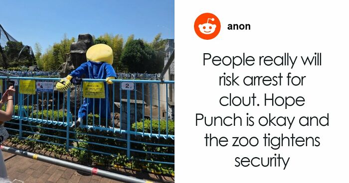 American Tourists Put Behind Bars For Entering Punch The Monkey’s Enclosure Wearing Emoji Costumes