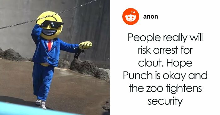 American Tourists Put Behind Bars For Entering Punch The Monkey’s Enclosure Wearing Emoji Costumes