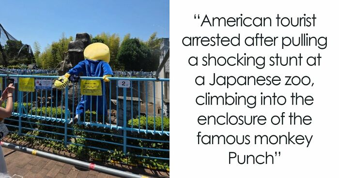 Tourists Break Into Zoo Enclosure To Film A Viral Video, Punch The Monkey And Staff Not Amused