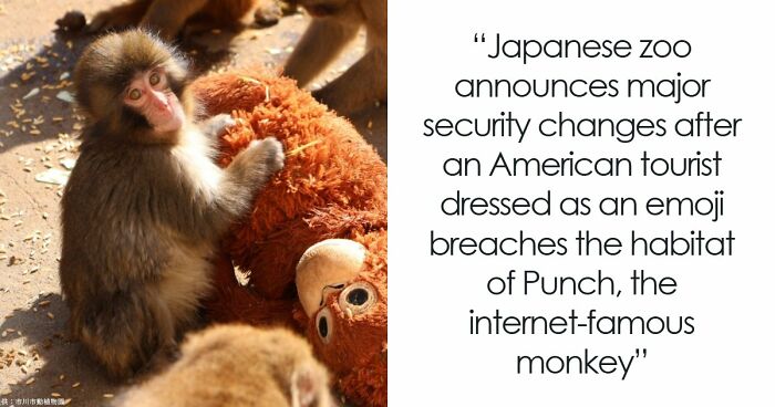 American Tourists Put Behind Bars For Entering Punch The Monkey’s Enclosure Wearing Emoji Costumes