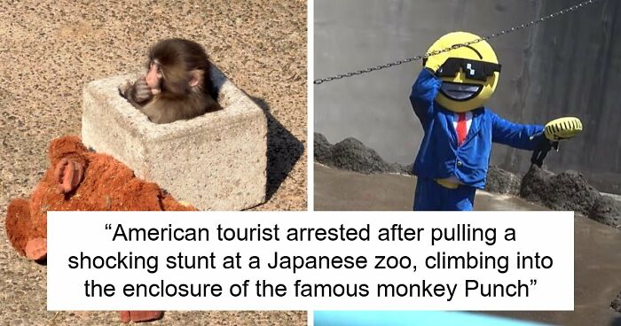American Tourists Put Behind Bars For Entering Punch The Monkey’s Enclosure Wearing Emoji Costumes