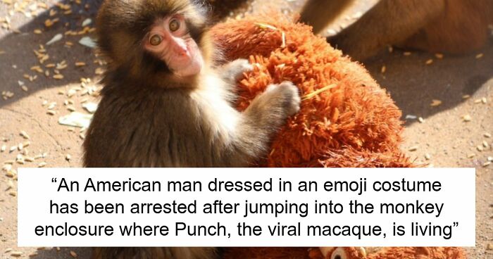 American Tourists Put Behind Bars For Entering Punch The Monkey’s Enclosure Wearing Emoji Costumes