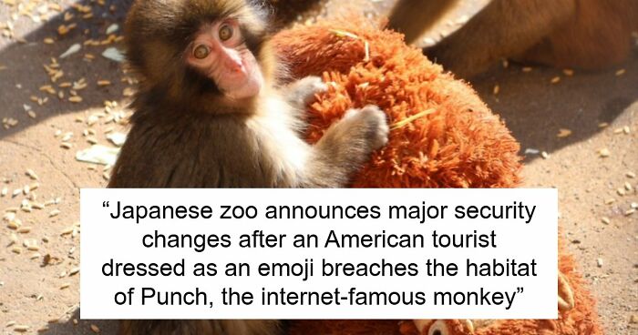 American Tourists Put Behind Bars For Entering Punch The Monkey’s Enclosure Wearing Emoji Costumes