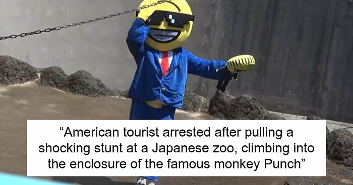 American Tourists Put Behind Bars For Entering Punch The Monkey’s Enclosure Wearing Emoji Costumes