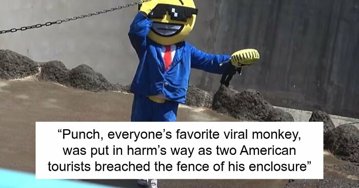 American Tourists Put Behind Bars For Entering Punch The Monkey’s Enclosure Wearing Emoji Costumes
