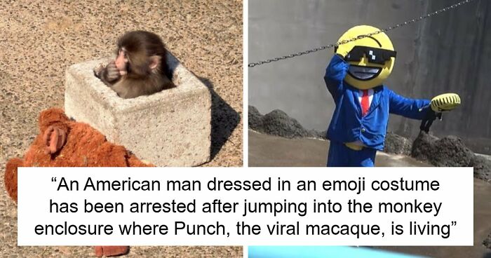 American Tourists Put Behind Bars For Entering Punch The Monkey’s Enclosure Wearing Emoji Costumes