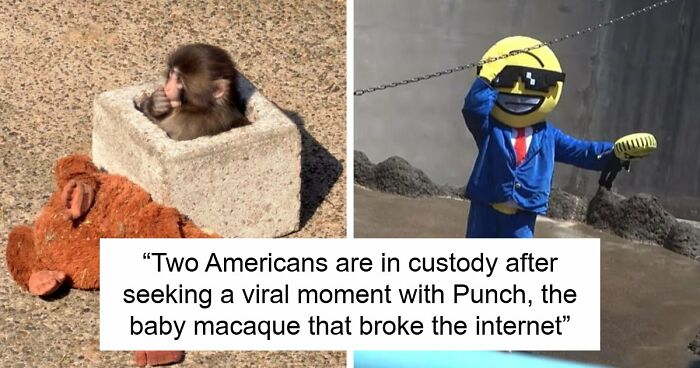 American Tourists Put Behind Bars For Entering Punch The Monkey’s Enclosure Wearing Emoji Costumes