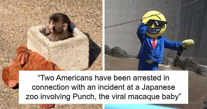 American Tourists Put Behind Bars For Entering Punch The Monkey’s Enclosure Wearing Emoji Costumes