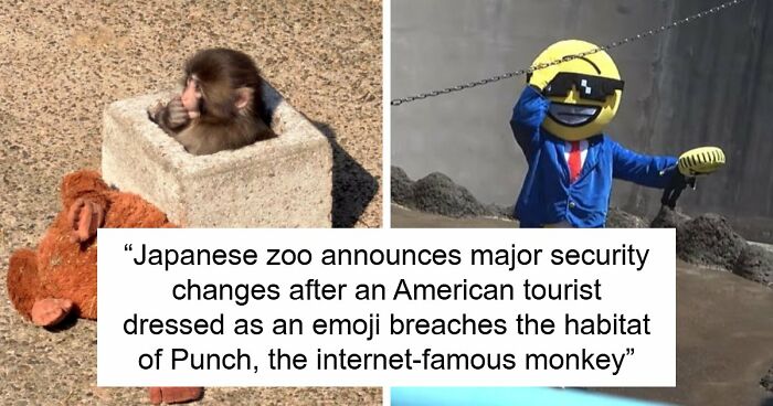American Tourists Put Behind Bars For Entering Punch The Monkey’s Enclosure Wearing Emoji Costumes