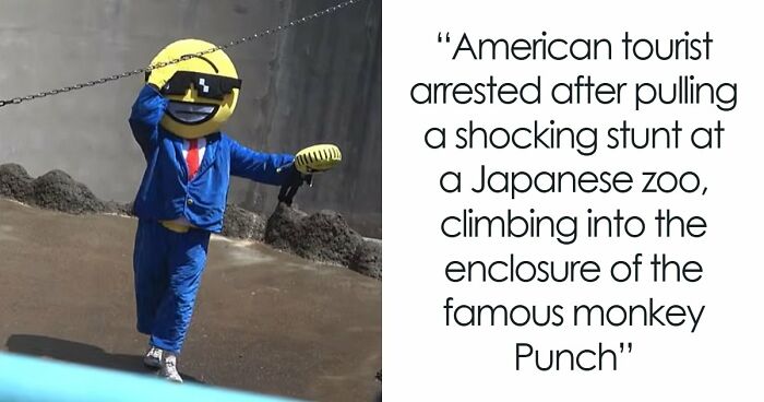 American Tourists Put Behind Bars For Entering Punch The Monkey’s Enclosure Wearing Emoji Costumes