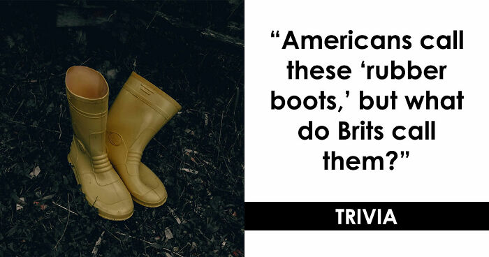 American Vs British Words Quiz: Test Your English Vocabulary Skills