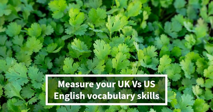 American Vs British Words Quiz: Test Your English Vocabulary Skills