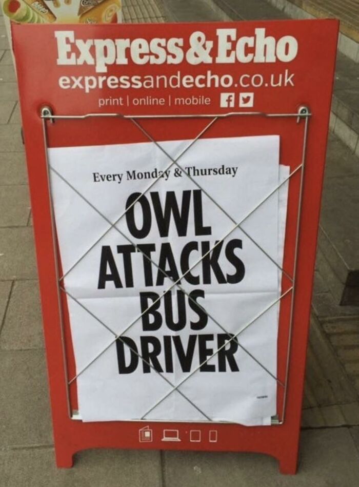 Express & Echo newspaper headline about owl attacking bus driver