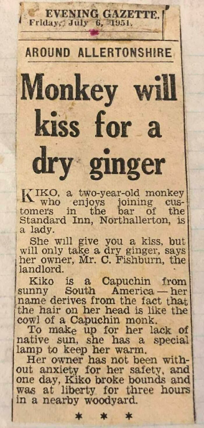 Vintage newspaper funny headline about monkey kissing for a dry ginger