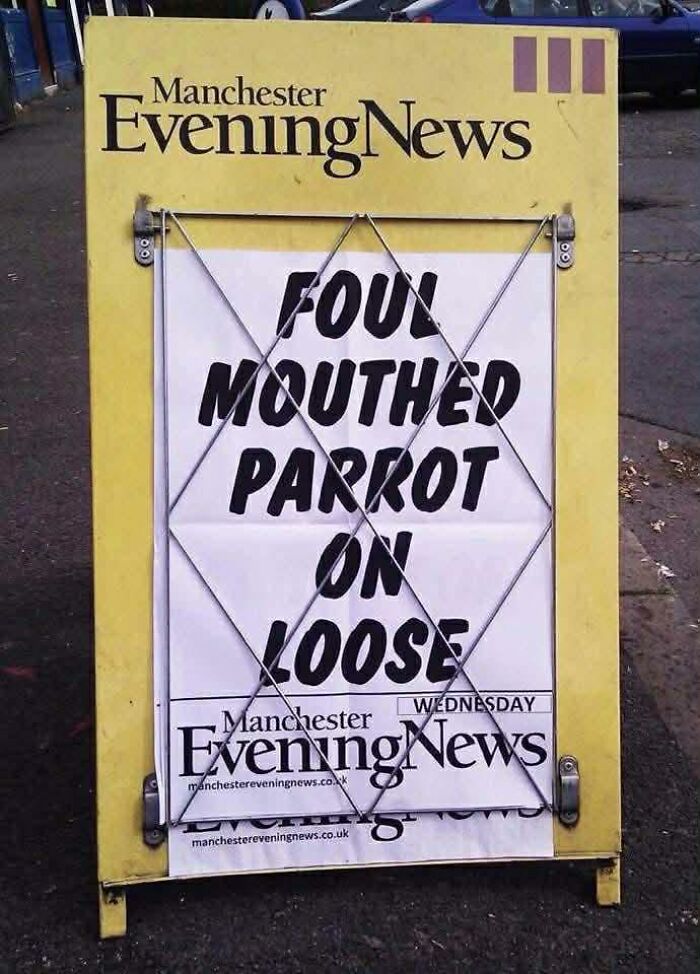 Manchester Evening News funny headline about foul mouthed parrot on loose