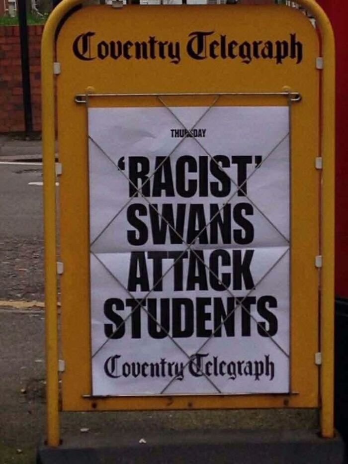 Hilarious news about racist swans attacking students