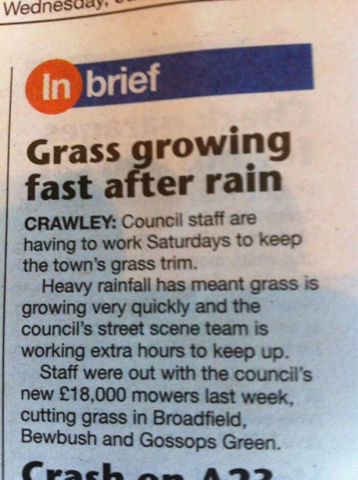Funny brief about grass growing fast after rain causing extra council work