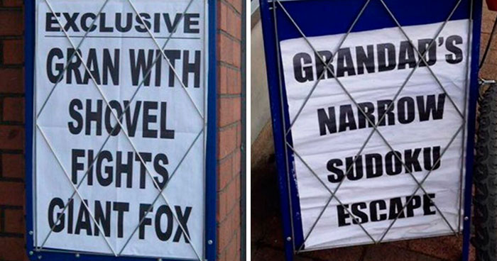 74 Hilarious Newspaper Headlines That Report Very “Important” News