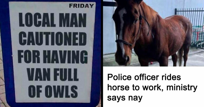 74 Funny Newspaper Headlines That Make You Wonder If The World Is Going Mad