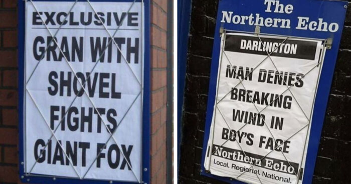 74 Hilarious Newspaper Headlines That Report Very “Important” News