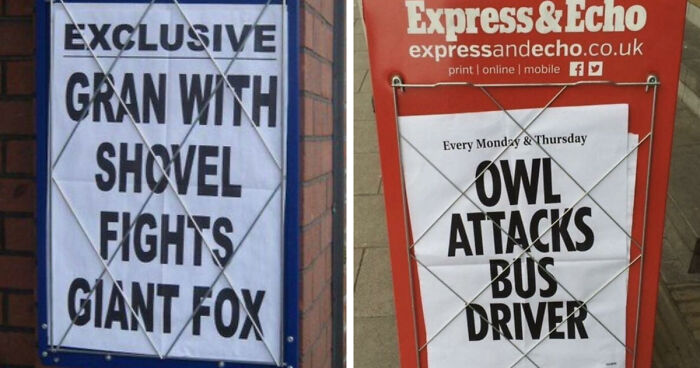 74 Hilarious Newspaper Headlines That Report Very “Important” News