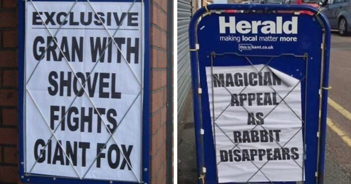 74 Hilarious Newspaper Headlines That Report Very “Important” News
