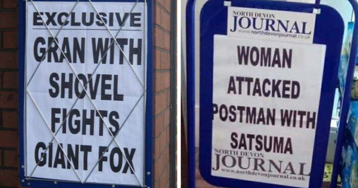 74 Hilarious Newspaper Headlines That Report Very “Important” News