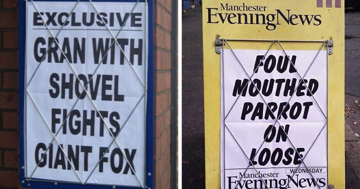 74 Hilarious Newspaper Headlines That Report Very “Important” News