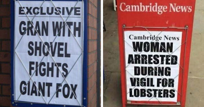 74 Hilarious Newspaper Headlines That Report Very “Important” News