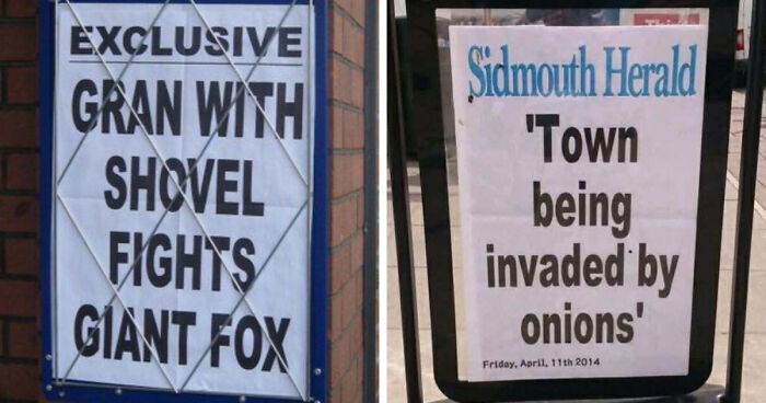 74 Hilarious Newspaper Headlines That Report Very “Important” News