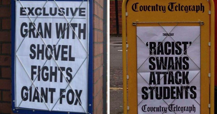 74 Hilarious Newspaper Headlines That Report Very “Important” News