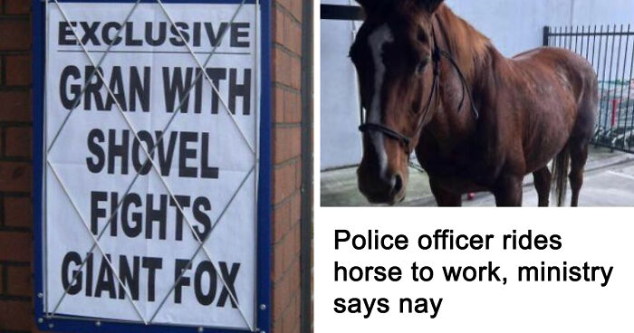 74 Hilarious Newspaper Headlines That Report Very “Important” News