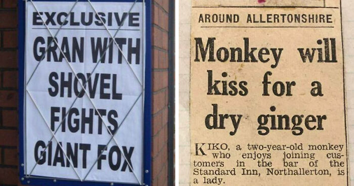 74 Hilarious Newspaper Headlines That Report Very “Important” News