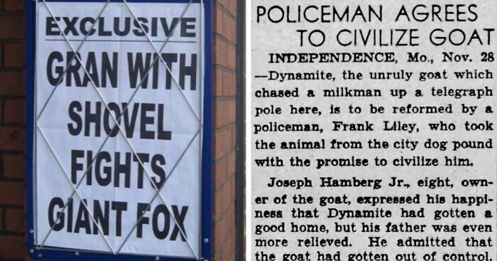 74 Hilarious Newspaper Headlines That Report Very “Important” News