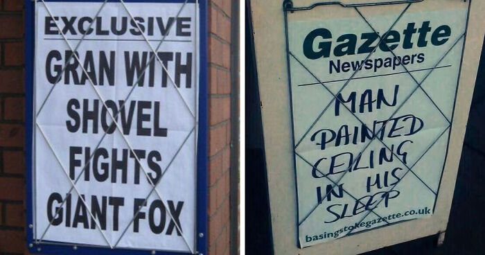 74 Hilarious Newspaper Headlines That Report Very “Important” News