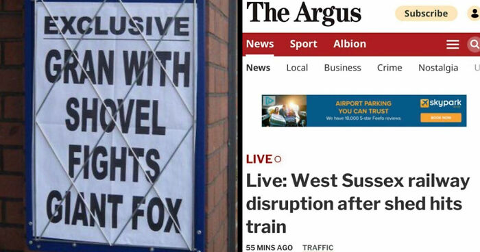 74 Hilarious Newspaper Headlines That Report Very “Important” News